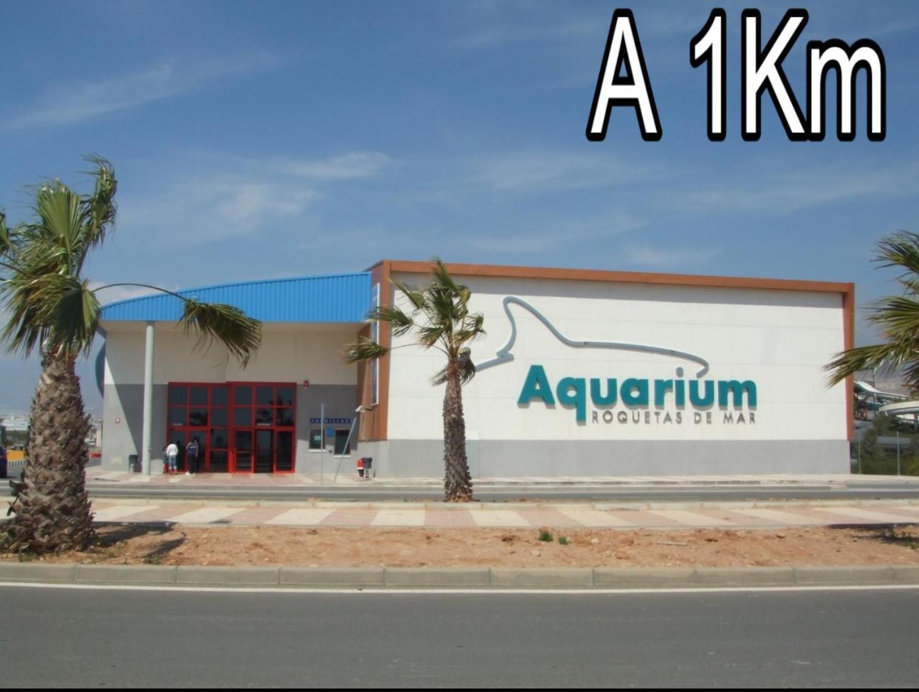 Atico Junto Al Teatro Auditorio De Roquetas De Mar Buitenkant foto